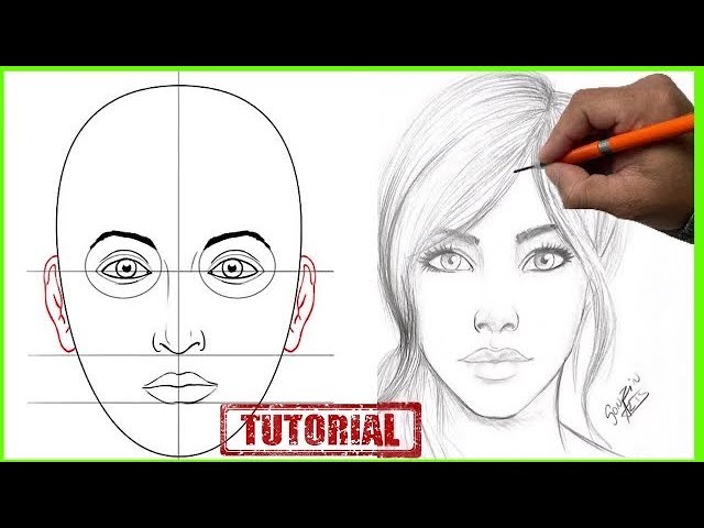 Cómo dibujar un rostro femenino en 5 sencillos pasos