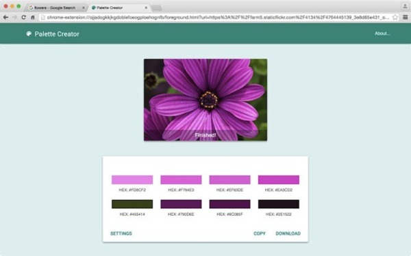 Cómo encontrar la paleta de colores de una imagen: con esta aplicación gratuita